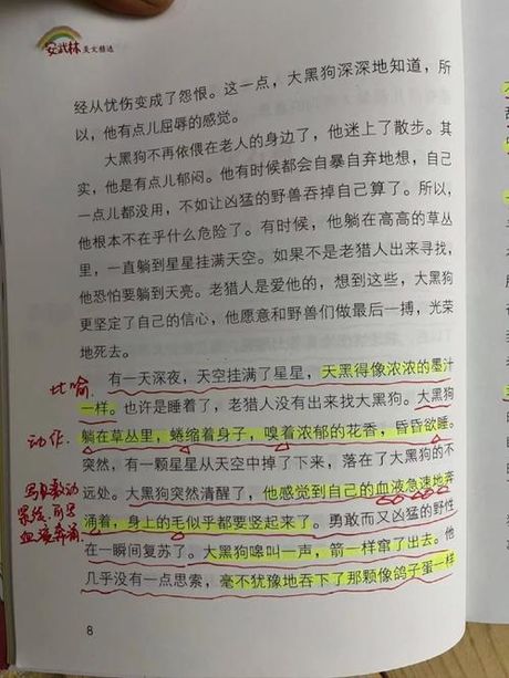 疯情书库：带你领略不一样的阅读体验