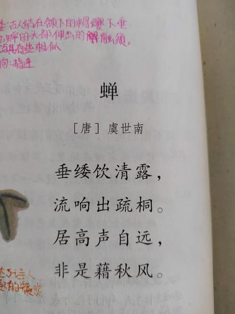 纟委合起来念什么，纟委是什么？纟委合起来念什么？