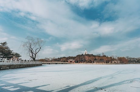 叶辰夏若雪最新章节为你揭晓