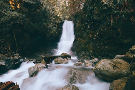 美人记：石头与水重生之旅