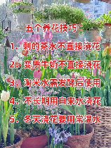 娇花难养，娇花难养的世界，学会这些方法才能培养好你的“花儿”